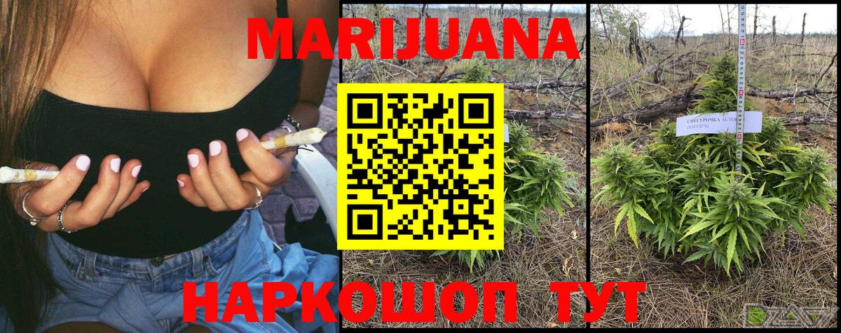 Шишки марихуана SATIVA & INDICA  Вход с VPN  Бошки Шишки сатива  Конопля планчик  Ангарск  Марихуана White Widow 